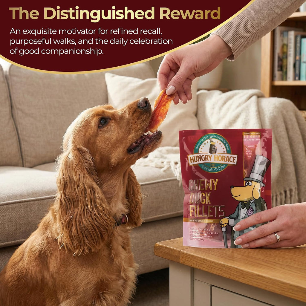 Chewy Duck Fillets Dog Treats, 200G