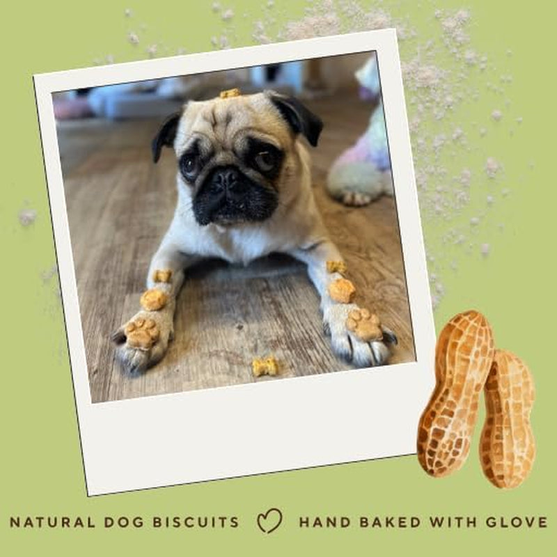 Wheat Free Dog Treats - Peanut Butter Mini Bones - British Baked Dog Biscuits - Peanut Butter for Dogs, Ideal Dog Treats for Small Dogs