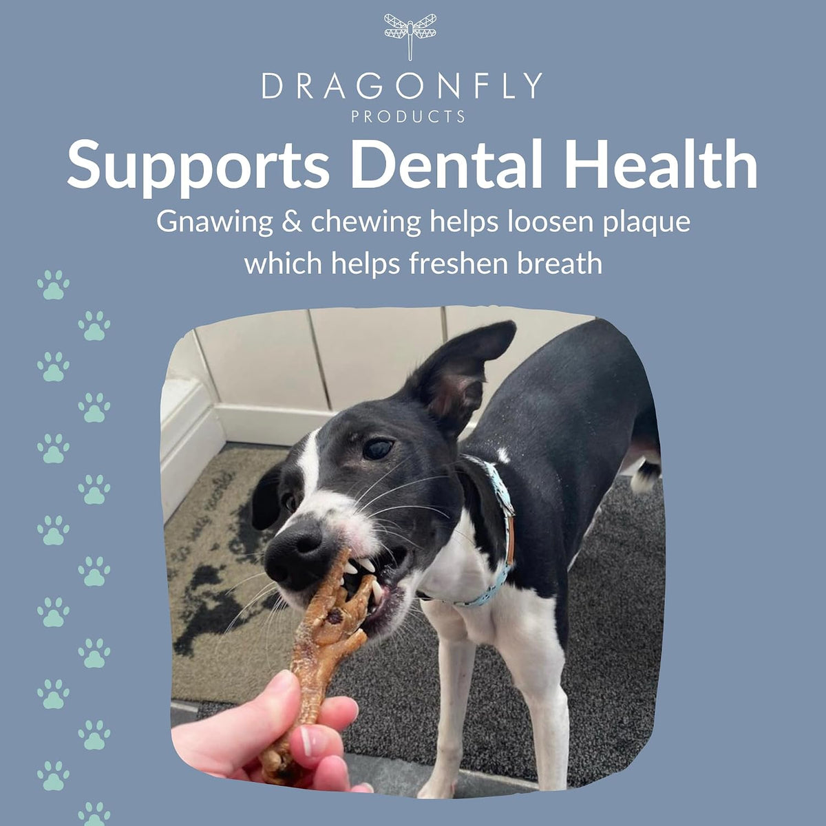 Chicken Feet for Dogs, Air-Dried Grain Free Dental Chew