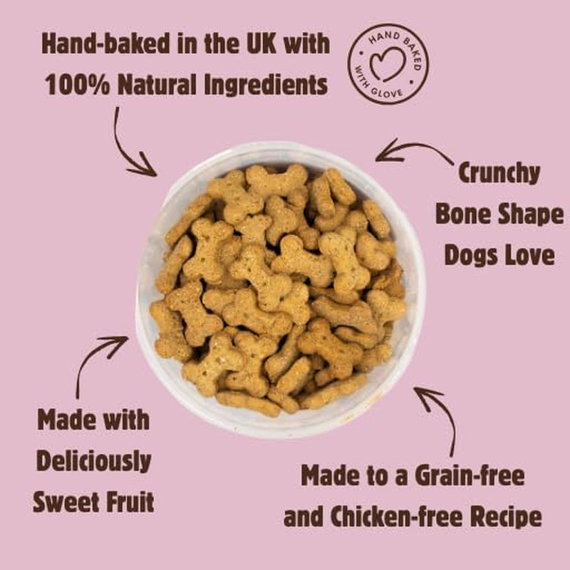 Grain Free Dog Treats - Banana, Apple & Blueberry Bones - 1Kg Bulk Dog Treats - British Baked Dog Biscuits