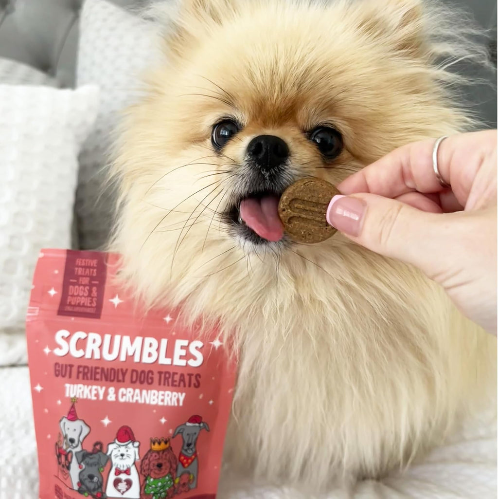 Turkey Cranberry Softies 90G (Pack of 2)