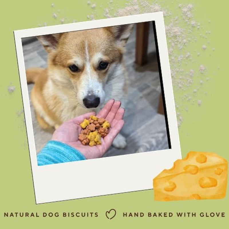 Wheat Free Dog Treats - Cheese Minis 1Kg - British Baked Dog Biscuits - Cheese Bones for Dogs, Ideal Dog Treats for Small Dogs
