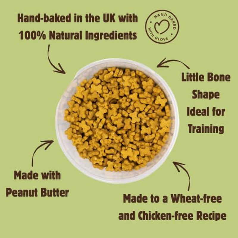 Wheat Free Dog Treats - Peanut Butter Mini Bones - British Baked Dog Biscuits - Peanut Butter for Dogs, Ideal Dog Treats for Small Dogs
