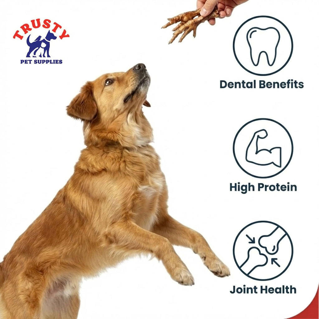 Chicken Feet for Dogs - 500G | Natural Dog Treat | Hypoallergenic & Grain Free | High in Glucosamine & Calcium | Natural Chews | Chicken Feet Dog Treats for Large & Small Dogs | by  Pet Supplies