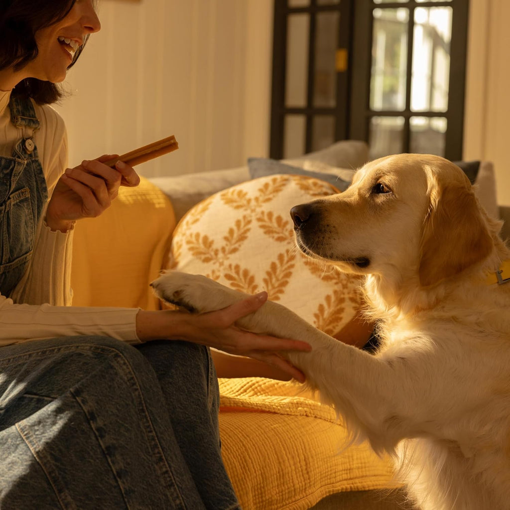 Dentastix, Functional Snacks, Daily Dental Chews for Small Dogs (5 -10 Kg), Megapack of 16 X 7 (112 Sticks)
