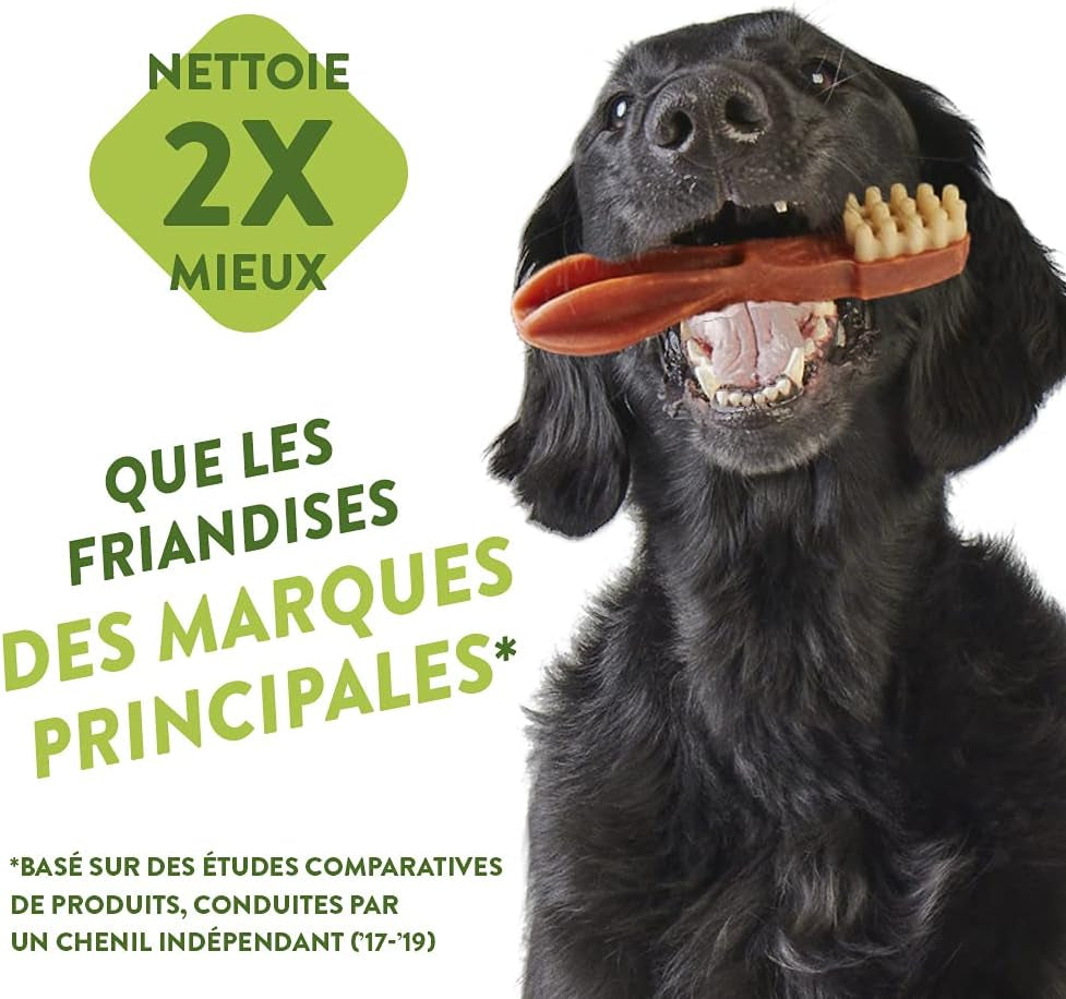 Natural Dental Dog Chew Long Lasting, Variety Box Mixed Shapes, Small, 56 Pieces & Natural Dental Dog Chews Long Lasting, Rice Bone, 9 Pieces