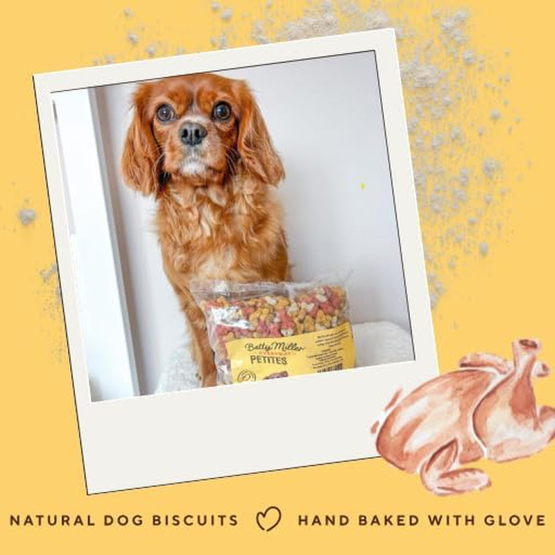 Dog Treats - Mini Chicken Petites 1Kg - British Baked Dog Biscuits - Ideal Dog Treats for Smaller Dogs