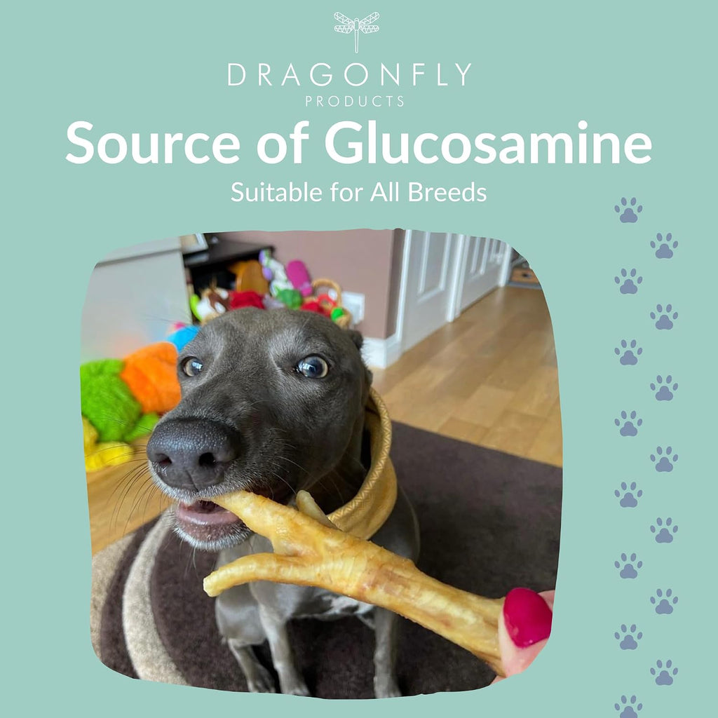Chicken Feet for Dogs, Air-Dried Grain Free Dental Chew
