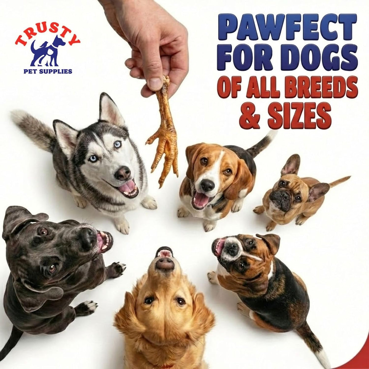 Chicken Feet for Dogs - 500G | Natural Dog Treat | Hypoallergenic & Grain Free | High in Glucosamine & Calcium | Natural Chews | Chicken Feet Dog Treats for Large & Small Dogs | by  Pet Supplies