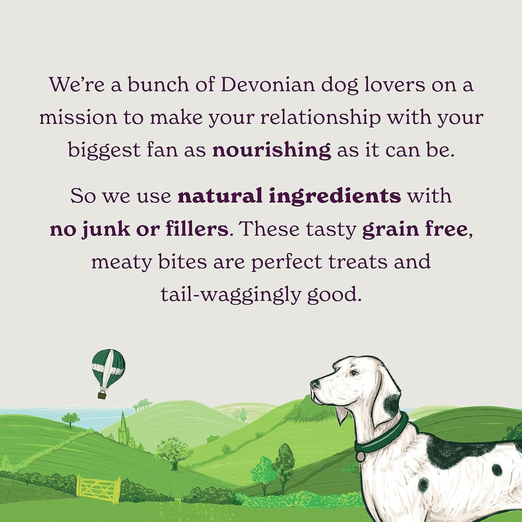 Meaty Nibbles (4 X 70G Bags) - Hypoallergenic & Grain Free Dog Treats with Chicken and Liver, Natural Dog Treats, Training Rewards with 75% Chicken