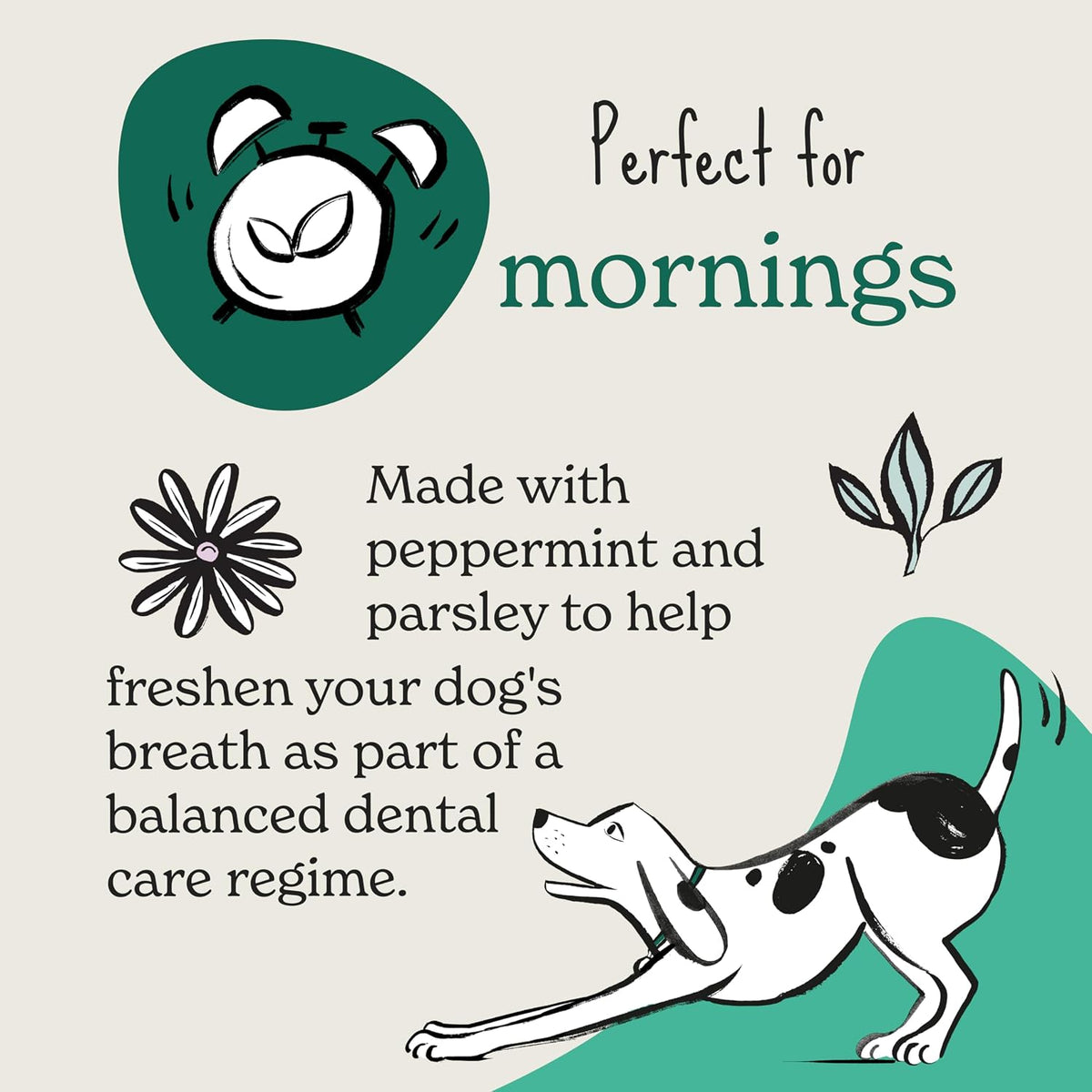 Natural Dog Treats (8 X 90G Bags) - Hypoallergenic & Grain Free Dog Treats with Chicken, Peppermint & Parsley, Fresh Breath Soft Bites, Resealable Bags