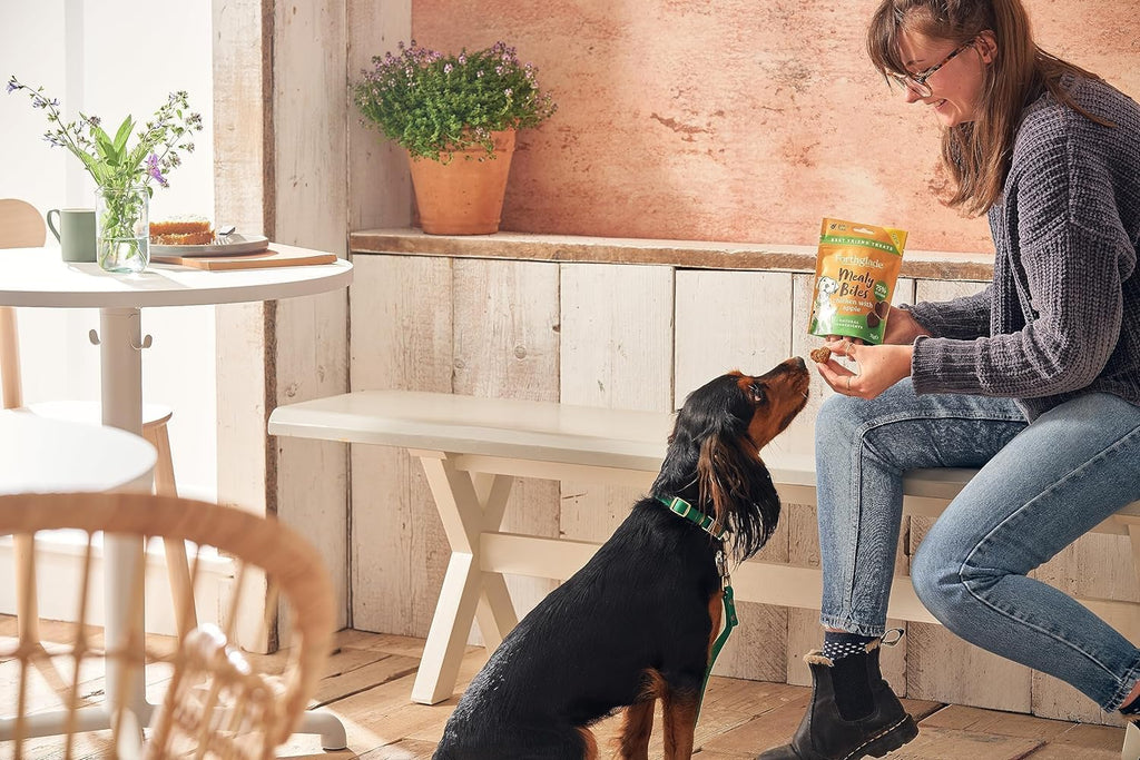 Meaty Bites (4 X 70G Bags) - Hypoallergenic & Grain Free Dog Treats with Chicken & Apple, Natural Dog Treats with 75% Chicken, Resealable Bags