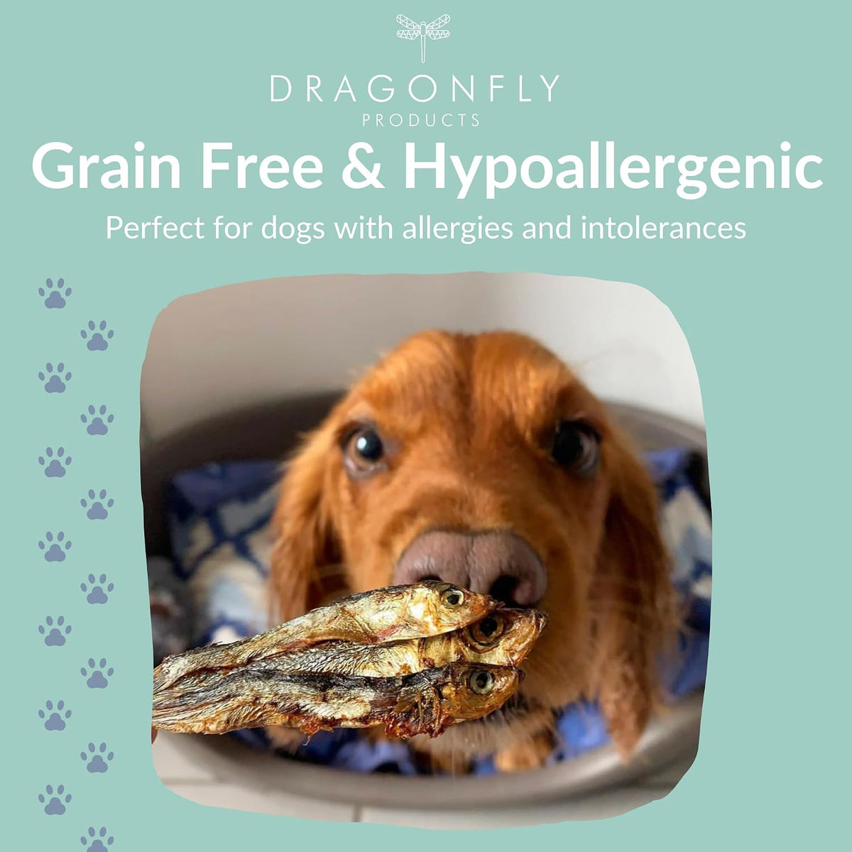 Sprats for Dogs & Puppies, Natural Whole Fish Treat