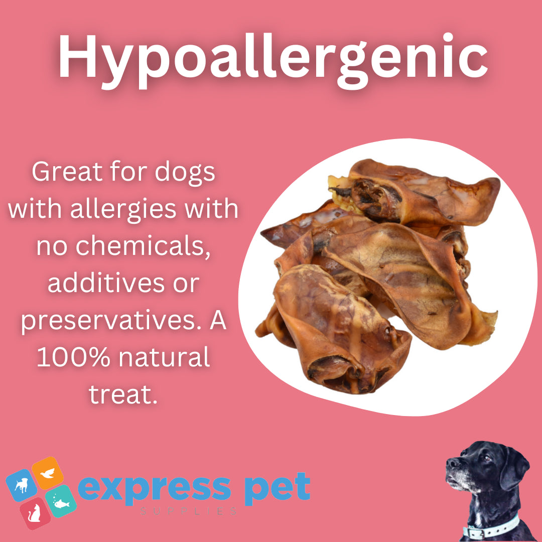 Extra Large Pig Ears for Dogs Natural High Protein Low Fat Hypoallergenic Treats