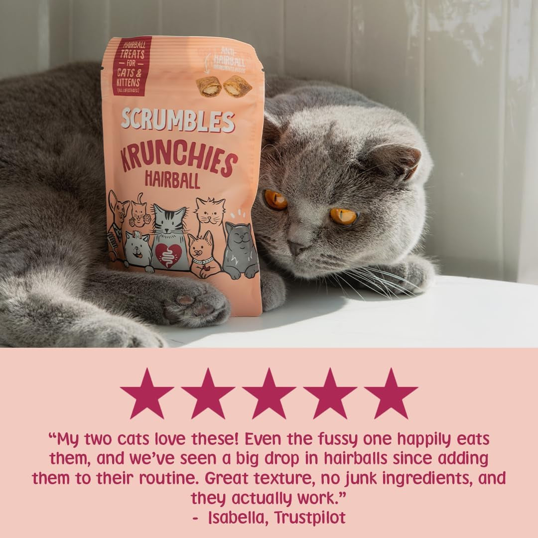 Anti-Hairball Krunchies Cat Treats 60G (Pack of 4)