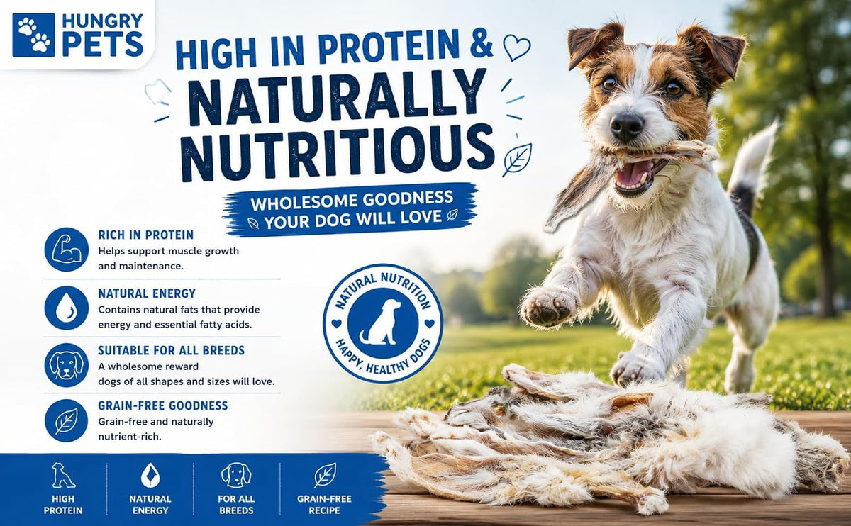 Premium Natural Dog Treat (200G, Rabbit Ears)