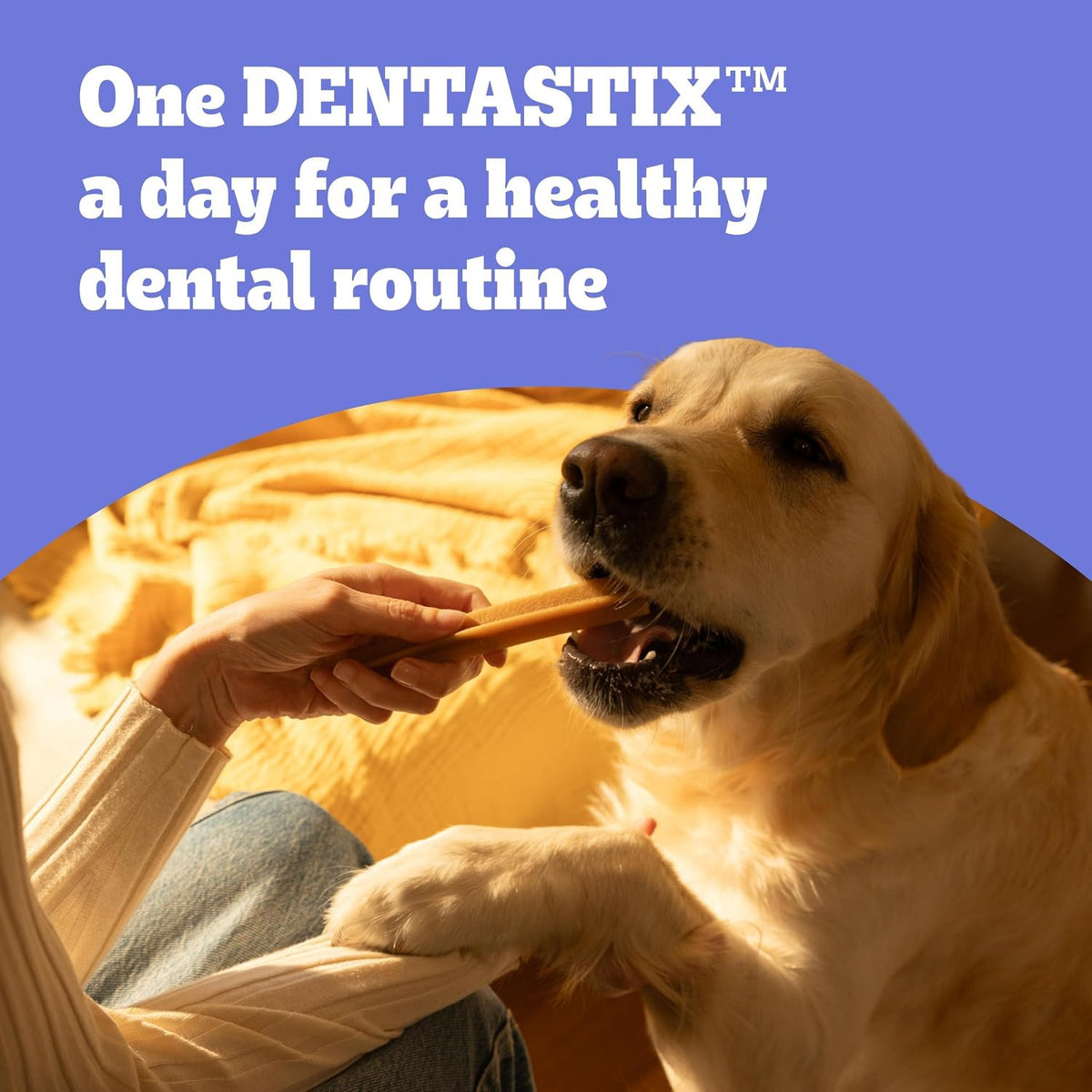 Dentastix, Functional Snacks, Daily Dental Chews for Small Dogs (5 -10 Kg), Megapack of 16 X 7 (112 Sticks)