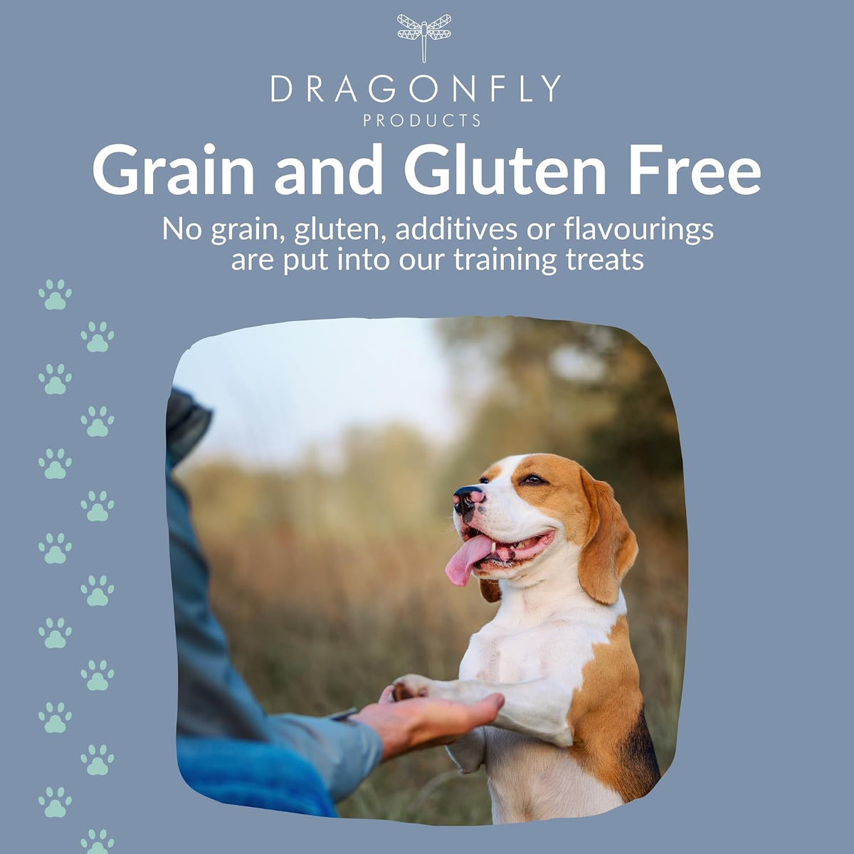 Training Treats for Dogs & Puppies, Grain Free Treat