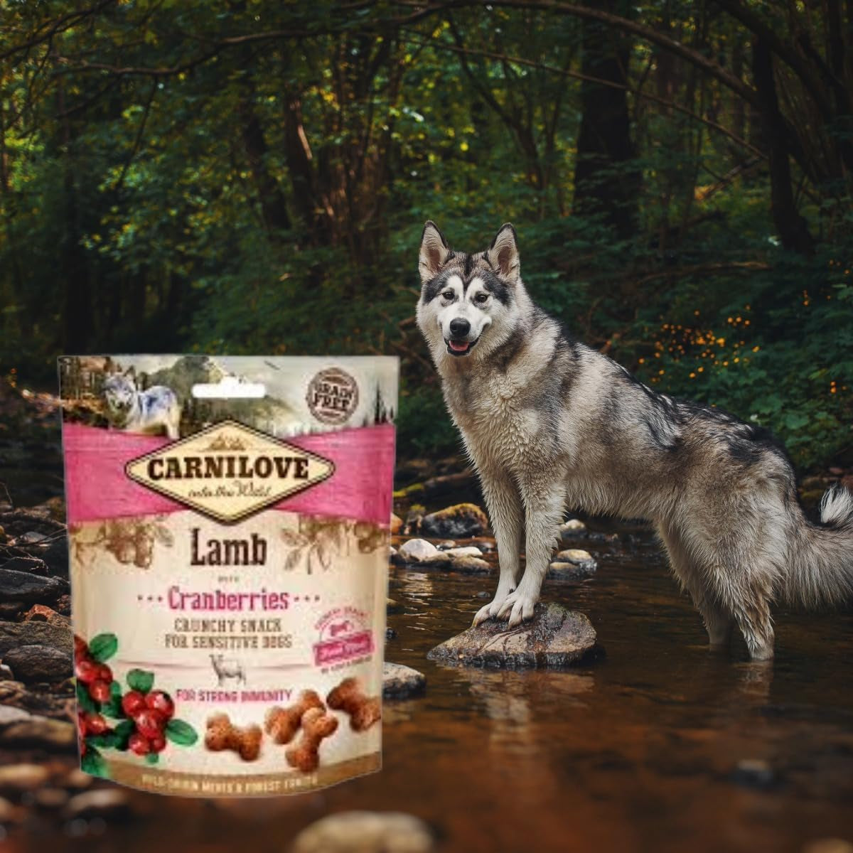 Lamb with Cranberries Dog Treats 1X200G