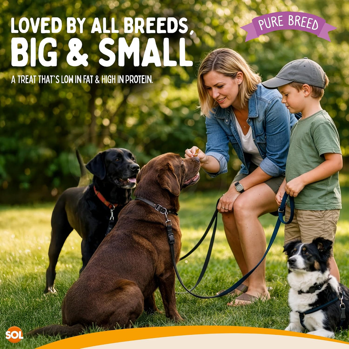 Pure Breed 10X Chicken Twists Dog Treats for Medium Dogs in 2X Resealable 50G Bags Meaty Chicken Chews Low Fat High Protein Training Pup Rewards for Travel & Walks Tasty Rawhide Chew Sticks 2Pk X 5