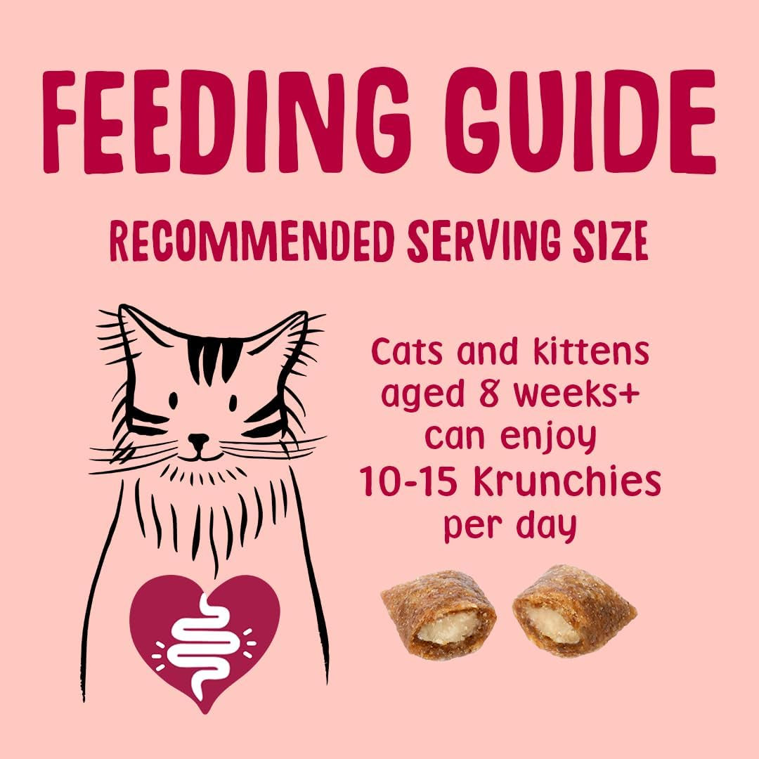 Anti-Hairball Krunchies Cat Treats 60G (Pack of 4)