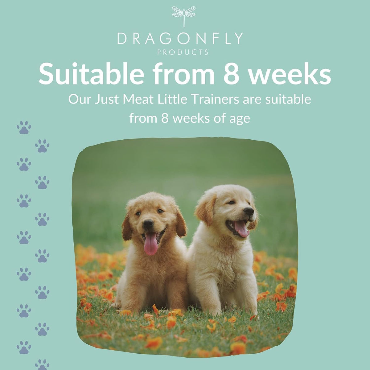 Training Treats for Dogs & Puppies, Grain Free Treat