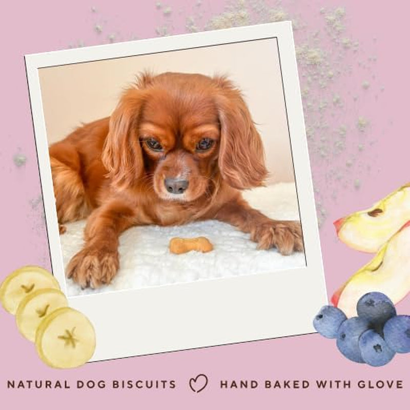 Grain Free Dog Treats - Banana, Apple & Blueberry Bones - 1Kg Bulk Dog Treats - British Baked Dog Biscuits