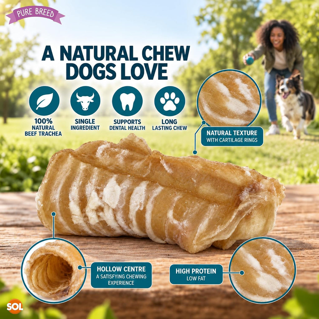Pure Breed 5Pk Beef Trachea for Dogs Natural Dog Treats 250G