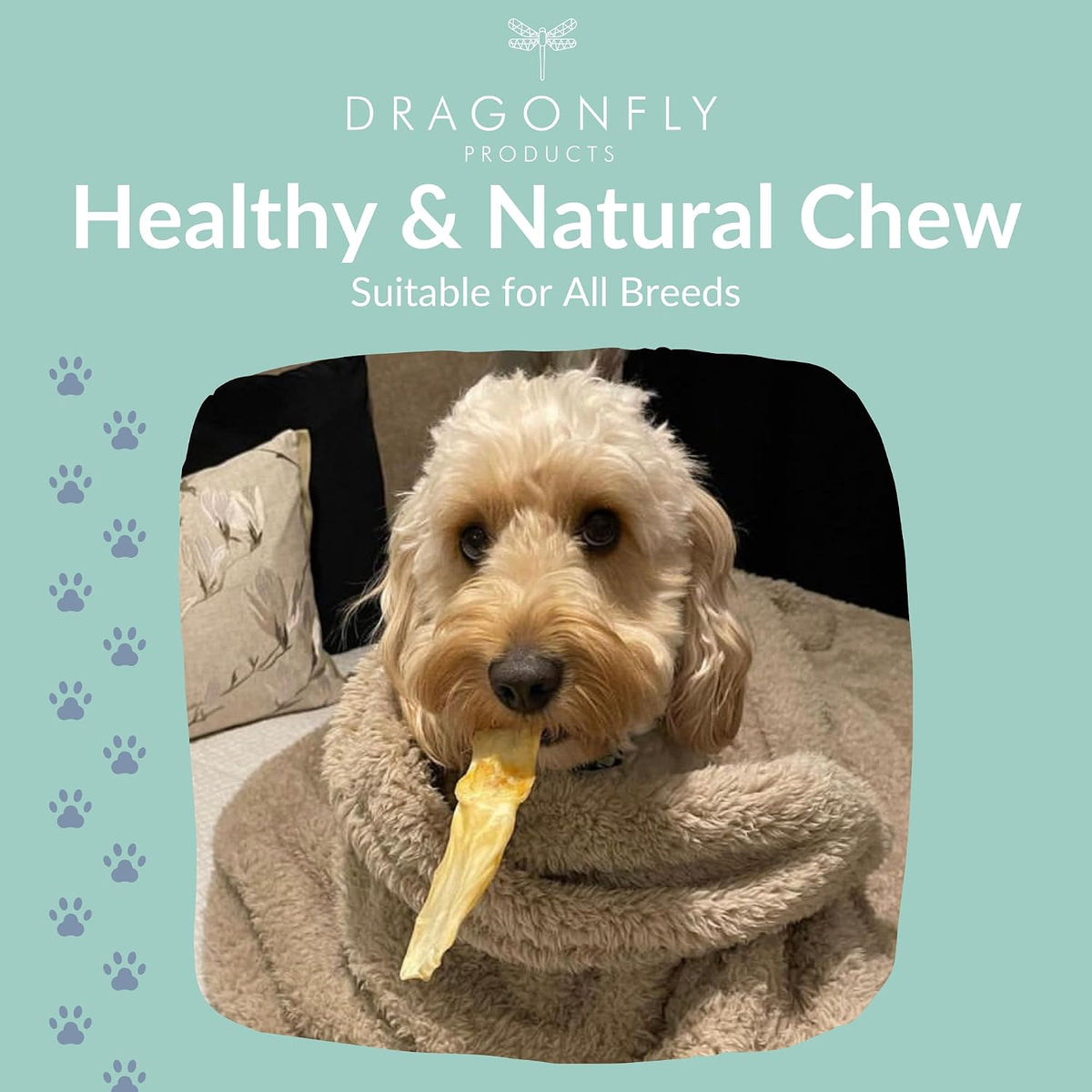 Rabbit Ears without Fur for Dogs & Puppies, Natural Chew