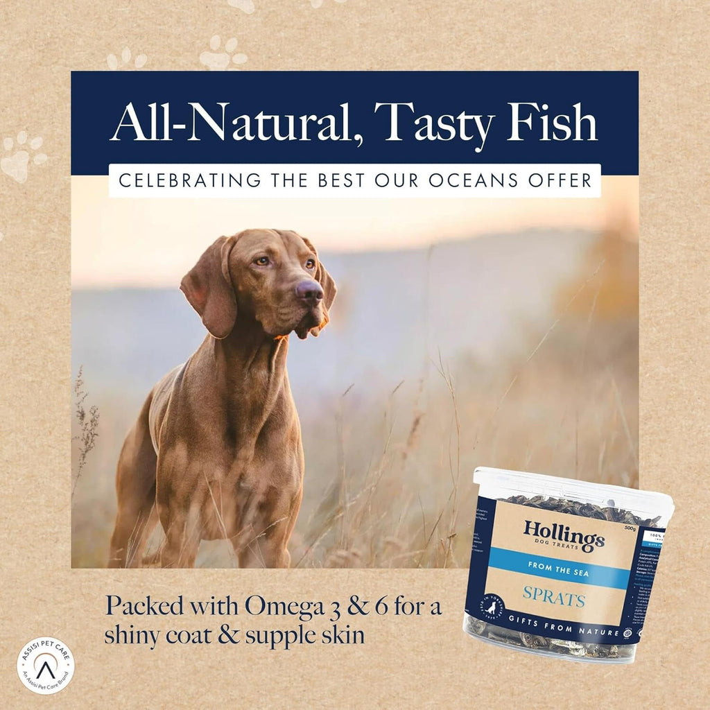 HOLLINGS SPRATS DOG TREATS 100% NATURAL FISH AIR DRIED DOG TREATS 500G TUB