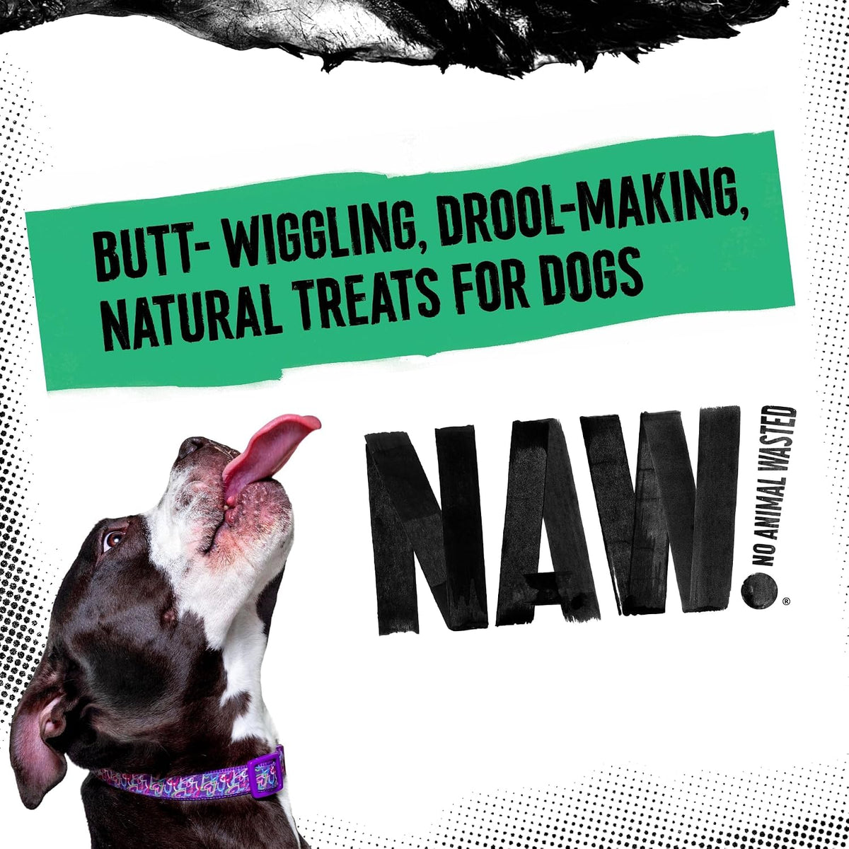 Lamb Braids for Dogs, 240G (2 Packs of 120G). Premium Braided Lamb Dog Chews Made from 100% Natural Lamb to Support Healthy Dental Hygiene