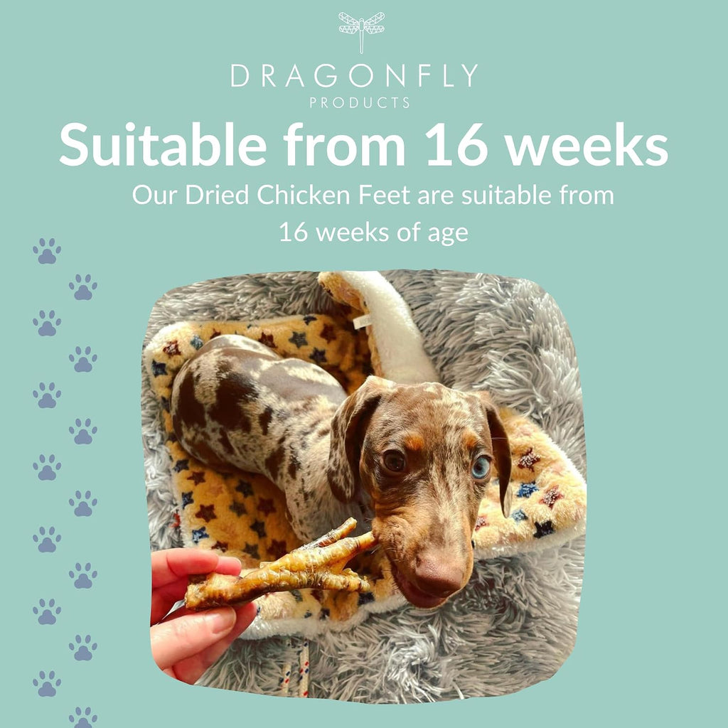 Chicken Feet for Dogs, Air-Dried Grain Free Dental Chew