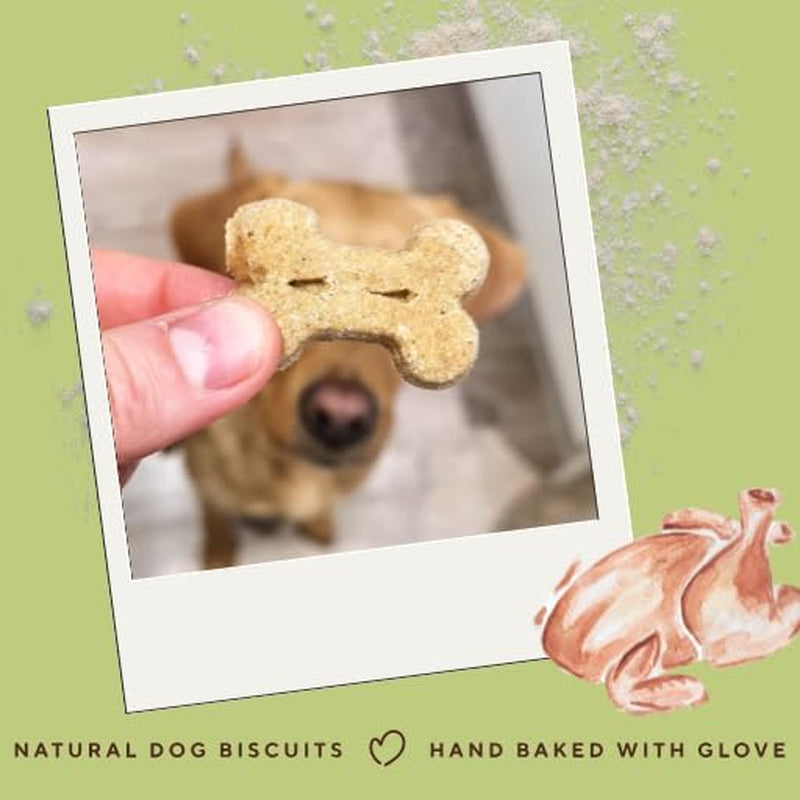 Wheat Free Dog Treats - Chicken & Liver Bones - British Baked Dog Biscuits - Dog Training Treats, Liver Treats for Dogs