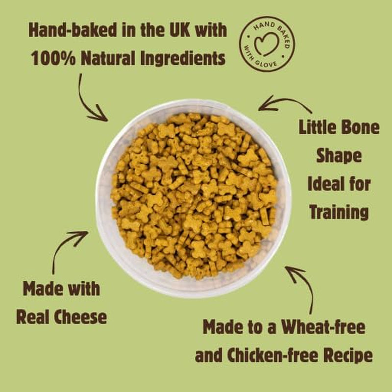 Wheat Free Dog Treats - Cheese Minis 1Kg - British Baked Dog Biscuits - Cheese Bones for Dogs, Ideal Dog Treats for Small Dogs