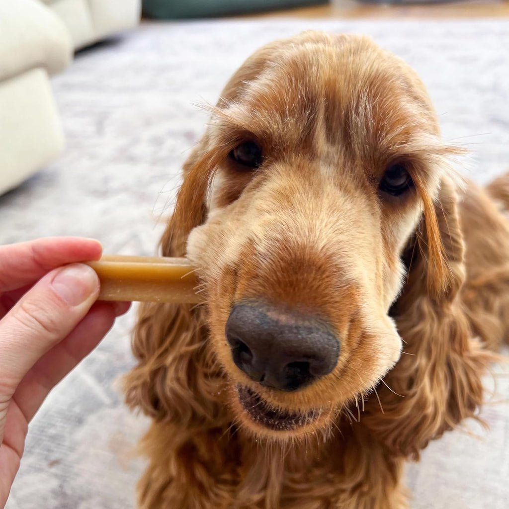 Dentastix, Functional Snacks, Daily Dental Chews for Small Dogs (5 -10 Kg), Megapack of 16 X 7 (112 Sticks)