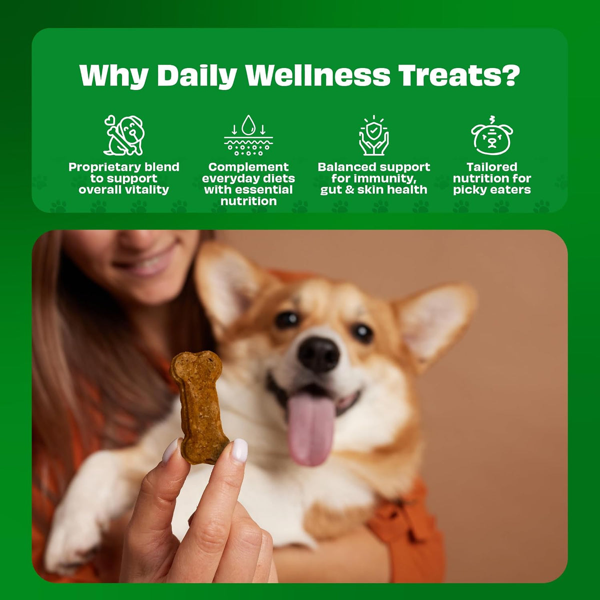 Pawfect Cheesecuits - Cheese Biscuits with Banana and Peanut Butter for Dogs Dog Treats - Grain-Free - Hypoallergenic - Rich in Antioxidants - Dog Training Treats (100G/3.53Oz)